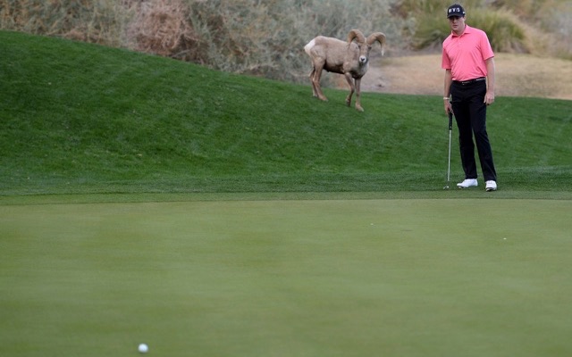 Hey, buddy. It's breaking to the left. 