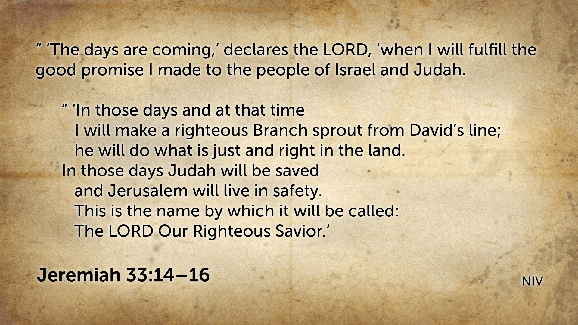 First Sunday of Advent