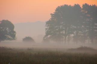 Misty-02-10-11-_0024