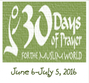 screen-shot-2016-05-13-at-3-48-09-pm-300x280