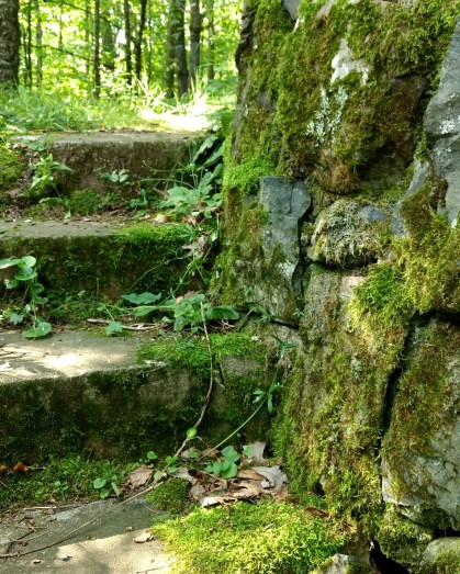 Mossy steps